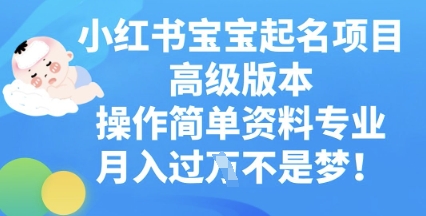 小红书宝宝起名项目高级版本，操作简单，资料专业，月入过W-智汇榜