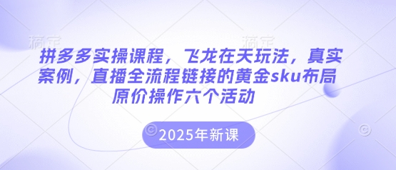 拼多多实操课程，飞龙在天玩法，真实案例，直播全流程链接的黄金sku布局原价操作六个活动-智汇榜