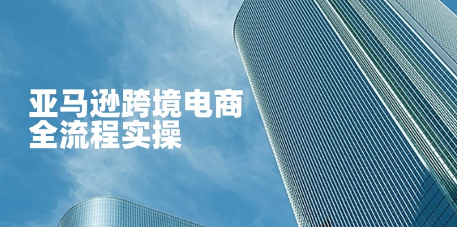 (14252期)亚马逊跨境电商全流程实操,教你从零开始,掌握店铺运营与广告技巧-智汇榜
