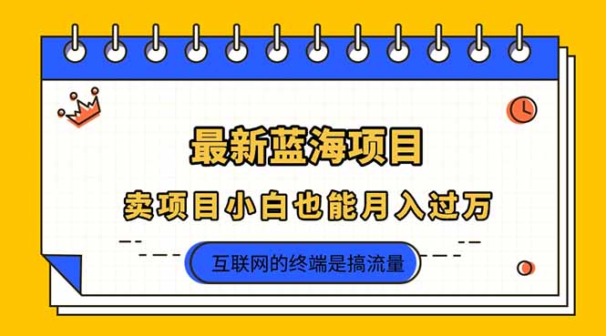 （14289期）2025年最新蓝海项目，卖项目小白也能月入过万-智汇榜