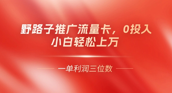 0门槛推广流量卡，一单收益上百，0投入，小白月入过W-智汇榜