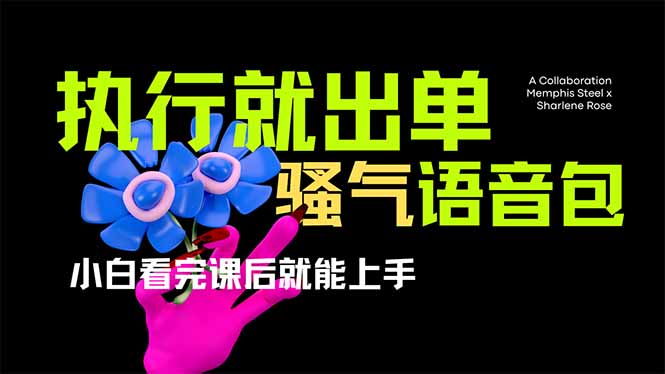 （14170期）爆火全网的开车导航骚气语音包,只要执行就出单，小白看完课程就能实操...-智汇榜