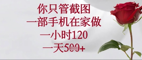 你只管截图,一部手机在家操作,一小时120.一天5张【揭秘】-智汇榜